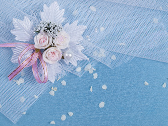 Similar image 622476