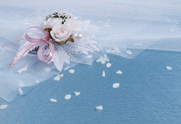 Similar image 622477