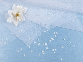 Similar image 622482