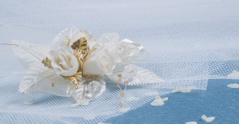 Similar image 622484