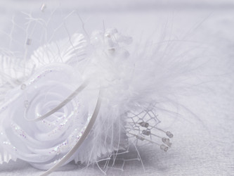 Similar image 622512