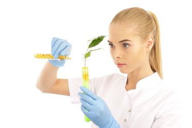 Similar image 622559