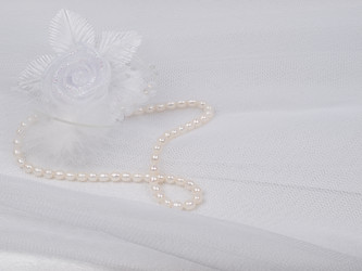 Similar image 622613