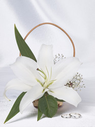 Similar image 622637