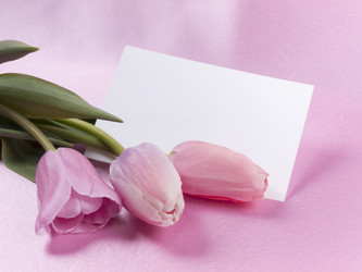 Similar image 622642