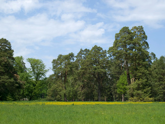 Similar image 622658