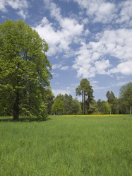 Similar image 622659