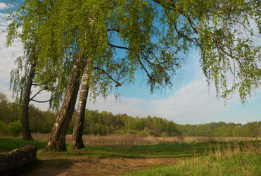 Similar image 622663