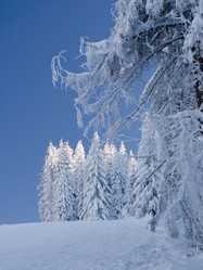 Similar image 622679