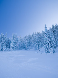 Similar image 622681