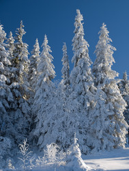 Similar image 622683