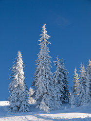 Similar image 622685