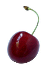 Similar image 622690