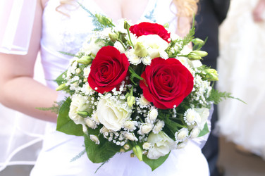 Similar image 622696