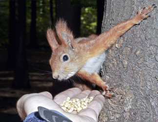 Similar image 622698