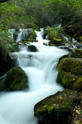 Similar image 622700