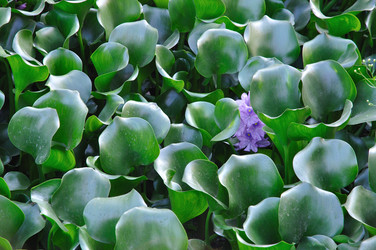 Similar image 622712