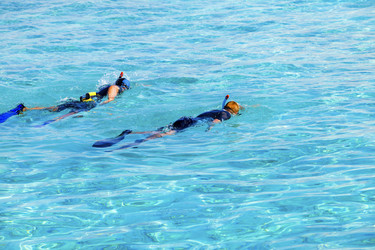 Similar image 622719