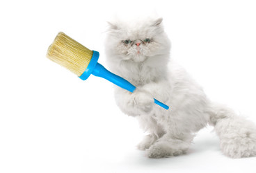 Similar image 622732