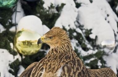 Similar image 622740