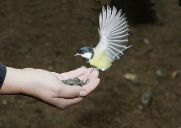 Similar image 622743