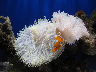 Similar image 622758