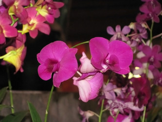 Similar image 622765