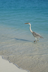 Similar image 622799