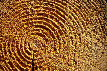 Similar image 622812