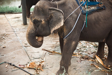 Similar image 622814