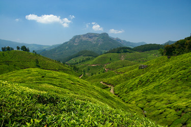 Similar image 622830