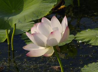 Similar image 622837