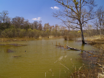 Similar image 622840