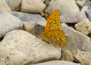 Similar image 622843