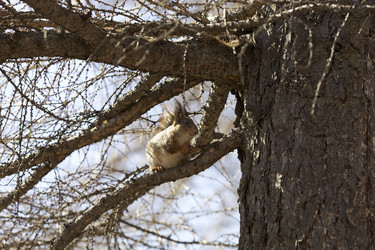 Similar image 622848