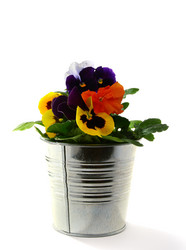 Similar image 622864