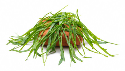 Similar image 622880