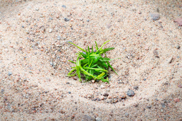 Similar image 622884