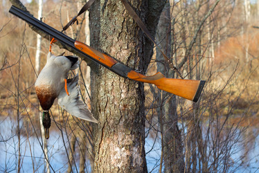 Similar image 622889