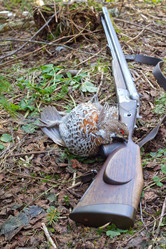 Similar image 622890