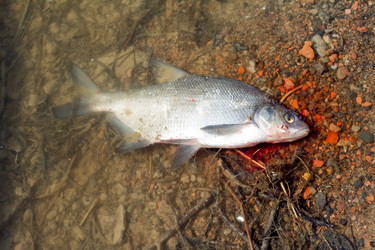 Similar image 622893