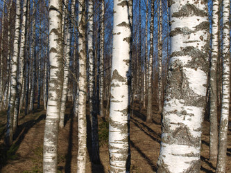 Similar image 622894