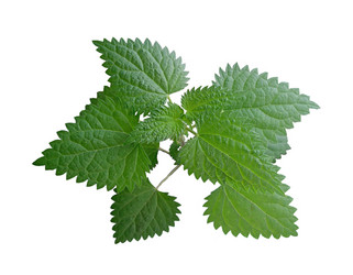 Similar image 622911