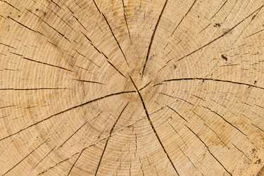 Similar image 622997