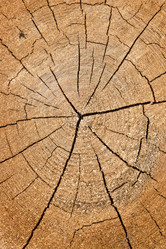 Similar image 622998