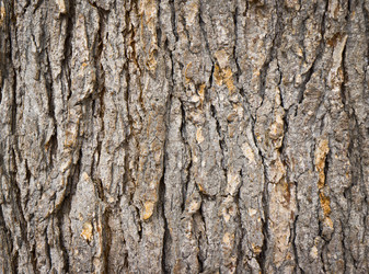 Similar image 623010