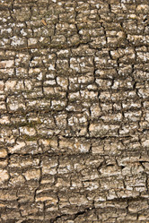 Similar image 623011