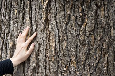 Similar image 623012