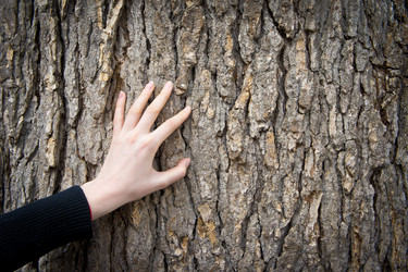 Similar image 623013