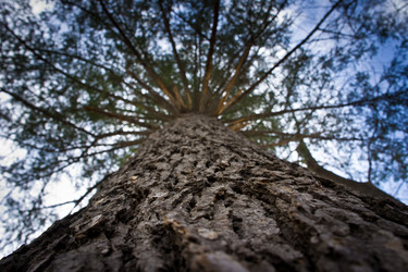 Similar image 623038